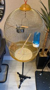 bird cage + stand