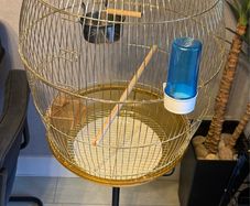 bird cage + stand