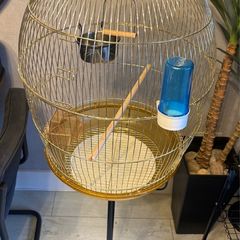 bird cage + stand