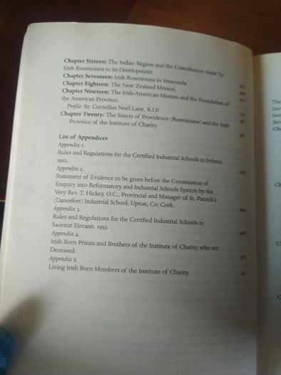 Rosminians: Their Irish Story