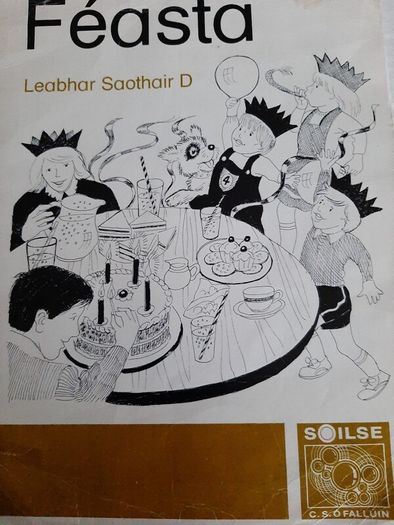Gaeilge Fallons vintage school books