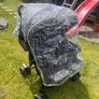 Double Buggy Image 2