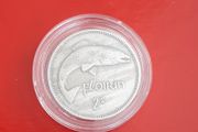 Irish Florin coin in case