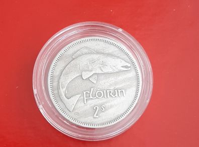 Irish Florin coin in case