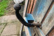 tow bars