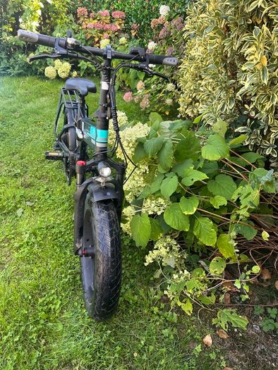 Electric Bike M1Pro