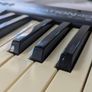 M-Audio Keystation 49 MIDI Keyboard Image 4