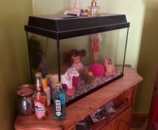 Fishtank