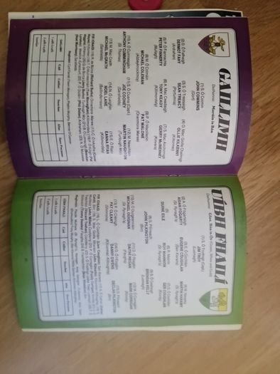 1990 All-Ireland Hurling Semi-Final Official Programme