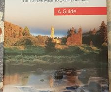 Pilgrim Paths In Ireland: A Guide From Slieve Mish To Skellig Michael by John G. O'Dwyer
