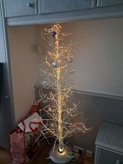 outdoor Christmas tree