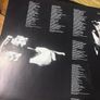 The Jesus And Mary Chain vinyl lp. Irish pressing Image 3