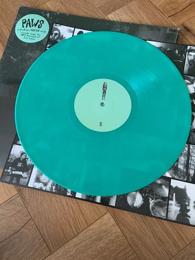 PAWS - Youth Culture Forever Vinyl Record LP