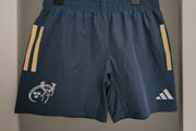 Adults Munster Rugby Training Pro Shorts