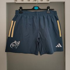 Adults Munster Rugby Training Pro Shorts