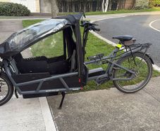 Electric cargo bike Riese & Muller Load 75 Vario family