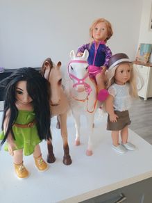 our generation horse set