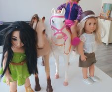 our generation horse set