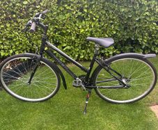 Trek Bike