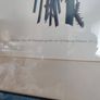 LOVELY FRAMED 55 X 65  CM. Chez Vilquin - Jean-Louis Prevost - THE PRINT IS 35x45 cm. vintage botanical print. Image 3