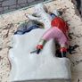 Staffordshire Flatback Image 8