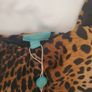 Melissa Odabash Designer Swimsuit 12 BNWT Image 6