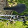 Bike Image 5