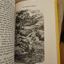 The Poacher's Handbook. By Ian Niall. With Wood Engravings By Barbara Greg. Hardback With Dustjacket In Very Good Condition.  See Photos For Same. Image 8