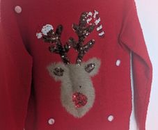 Christmas jumper girl