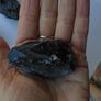 Apache Tears,Crystals.Gemstones,Healing crystals Image 3
