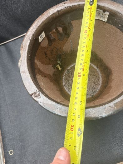 pot