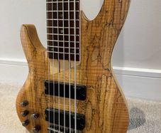 ESP LTD Left Hand 6-String Bass Neck-Through
