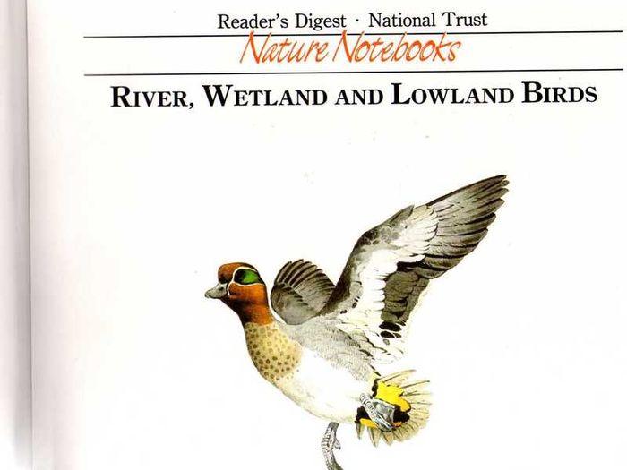 Reader's Digest - Nature Notebooks - Seaside & Moorland Birds  - And - River, Wetland & Lowland Birds (2 Books)