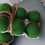 Spring Moss Eggs In Crate -new Decoration! Image 3