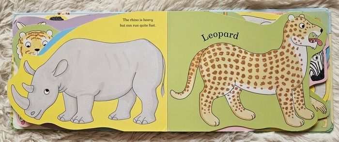 My Zoo by Rod Campbell