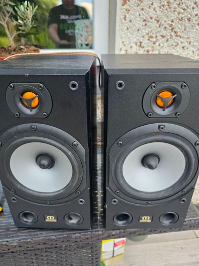 Monitor audio