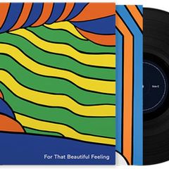 The chemical brothers; that beautiful feeling LP