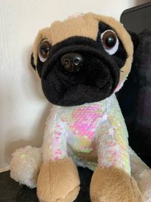 Pug in a hoody cuddly bear