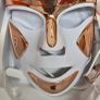 Dr Dennis Gross Skincare DRx SpectraLite FaceWare Pro Image 3