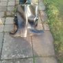 horse riding boots ...size 40 Image 3