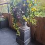 Cast garden Urn with artificial flowers Image 4