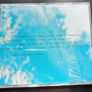 Laura Veirs - Year of Meteors CD Image 5