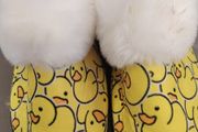 BN Duck slippers