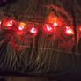 Red Rose & Pink String Lights Image 3