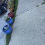 flower pots Image 4