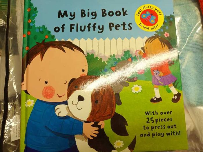 My Big Book of Fluffy Pets
