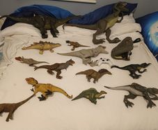 Dinosaurs
