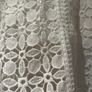 Lace  Top long sleeve BNWT Image 4