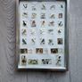 Framed Birds  of Ireland Stamp Collection Image 9