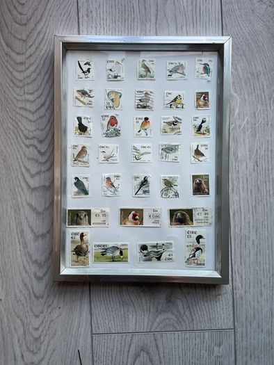Framed Birds  of Ireland Stamp Collection